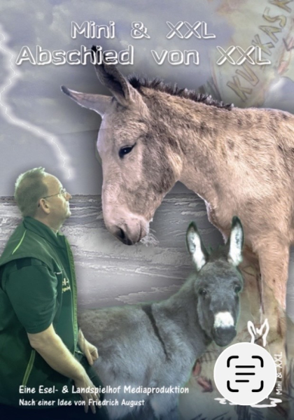 DVD Abschied von XXL 3.0